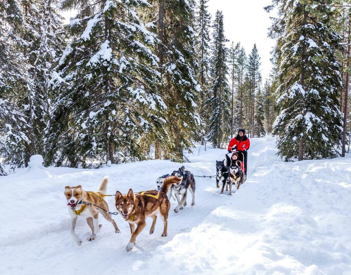 Lapland Hotels Bear'S Lodge Синетта Экстерьер фото